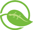 Eco-Gecko Logo